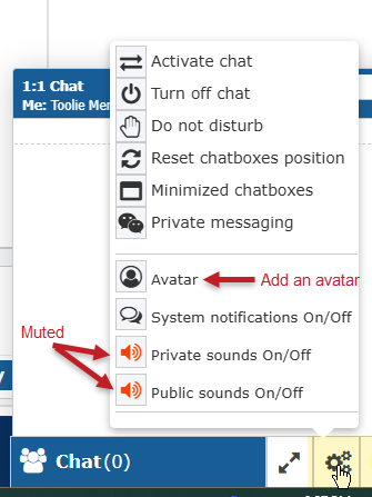 chat preferences